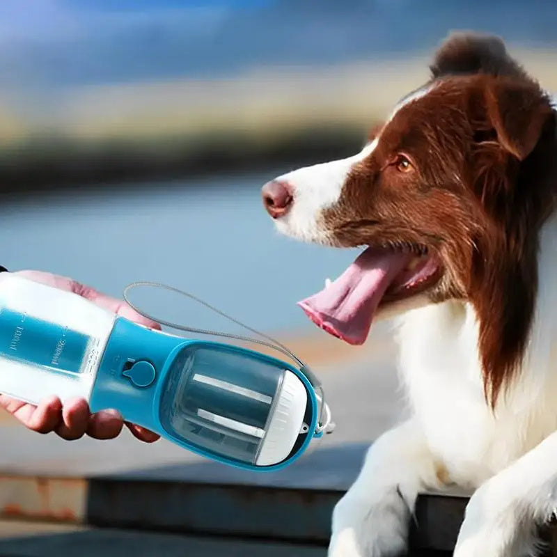 3in1 Portable Multi-functional Pet Bottle