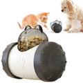 Educational Interactive Pet Toy