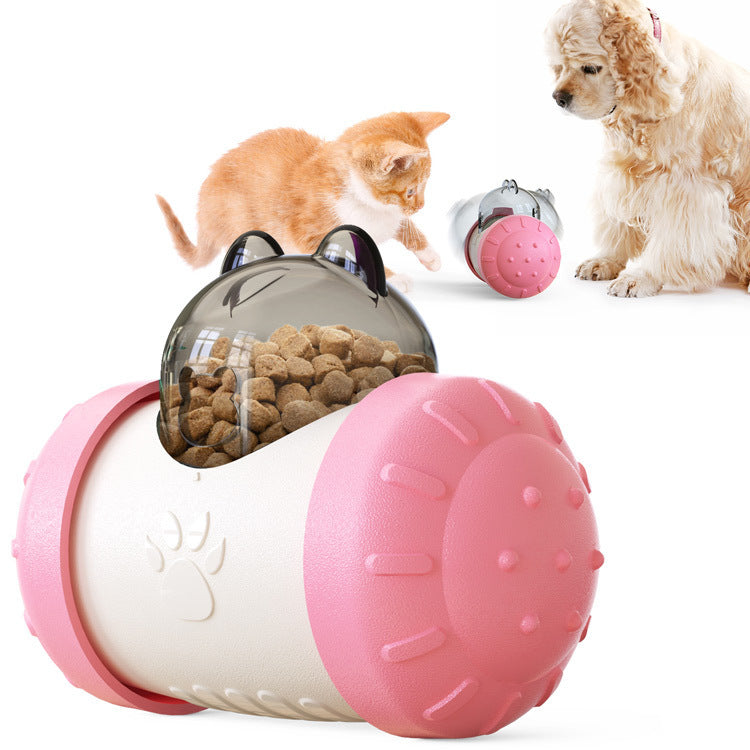 Educational Interactive Pet Toy
