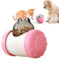 Educational Interactive Pet Toy