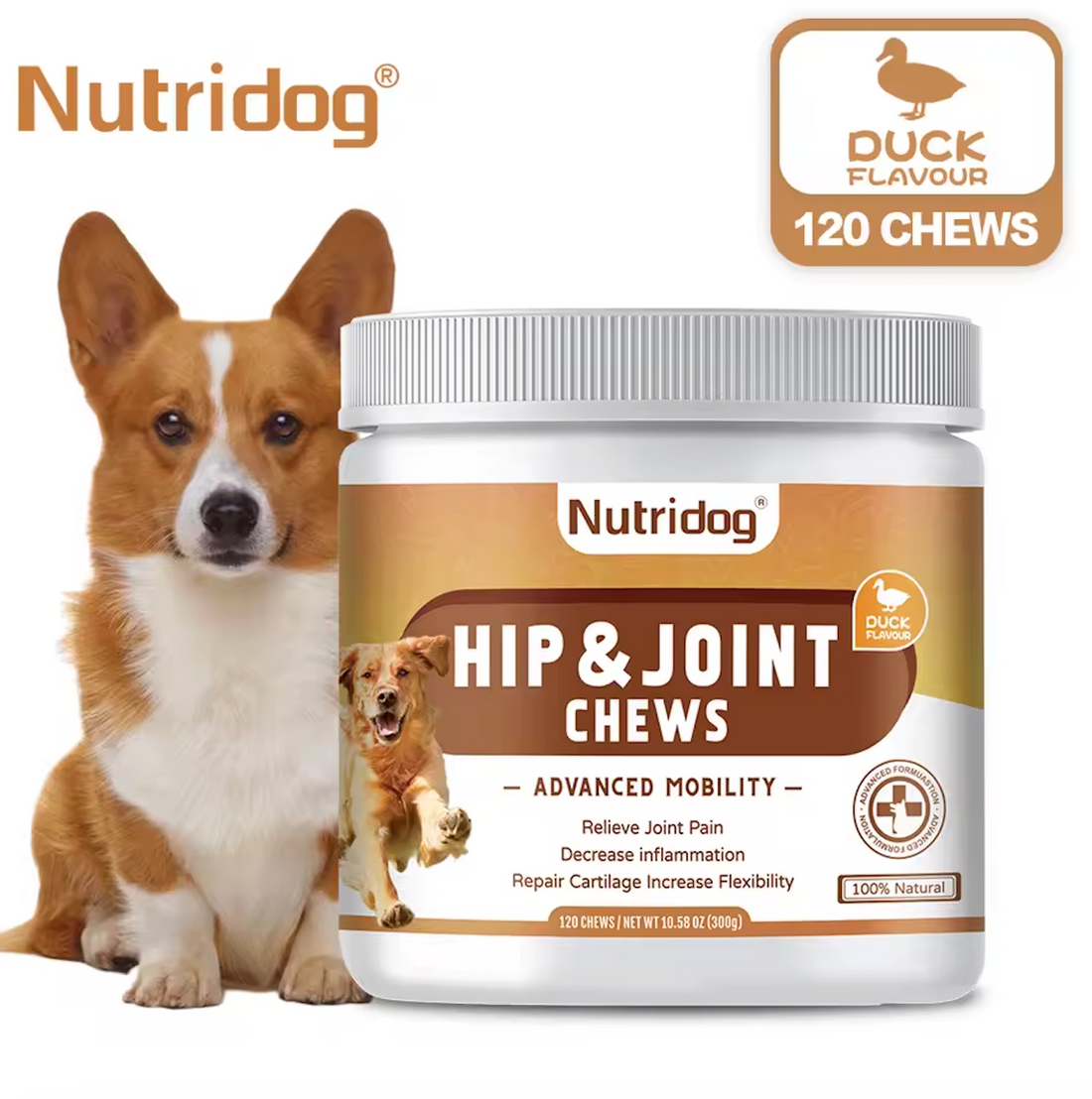 Hip and Joint Supplement for Dogs